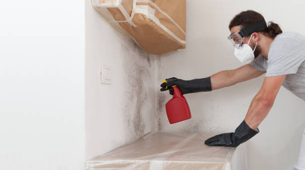 Professional Attic Mold Removal technician working in Grant, MI